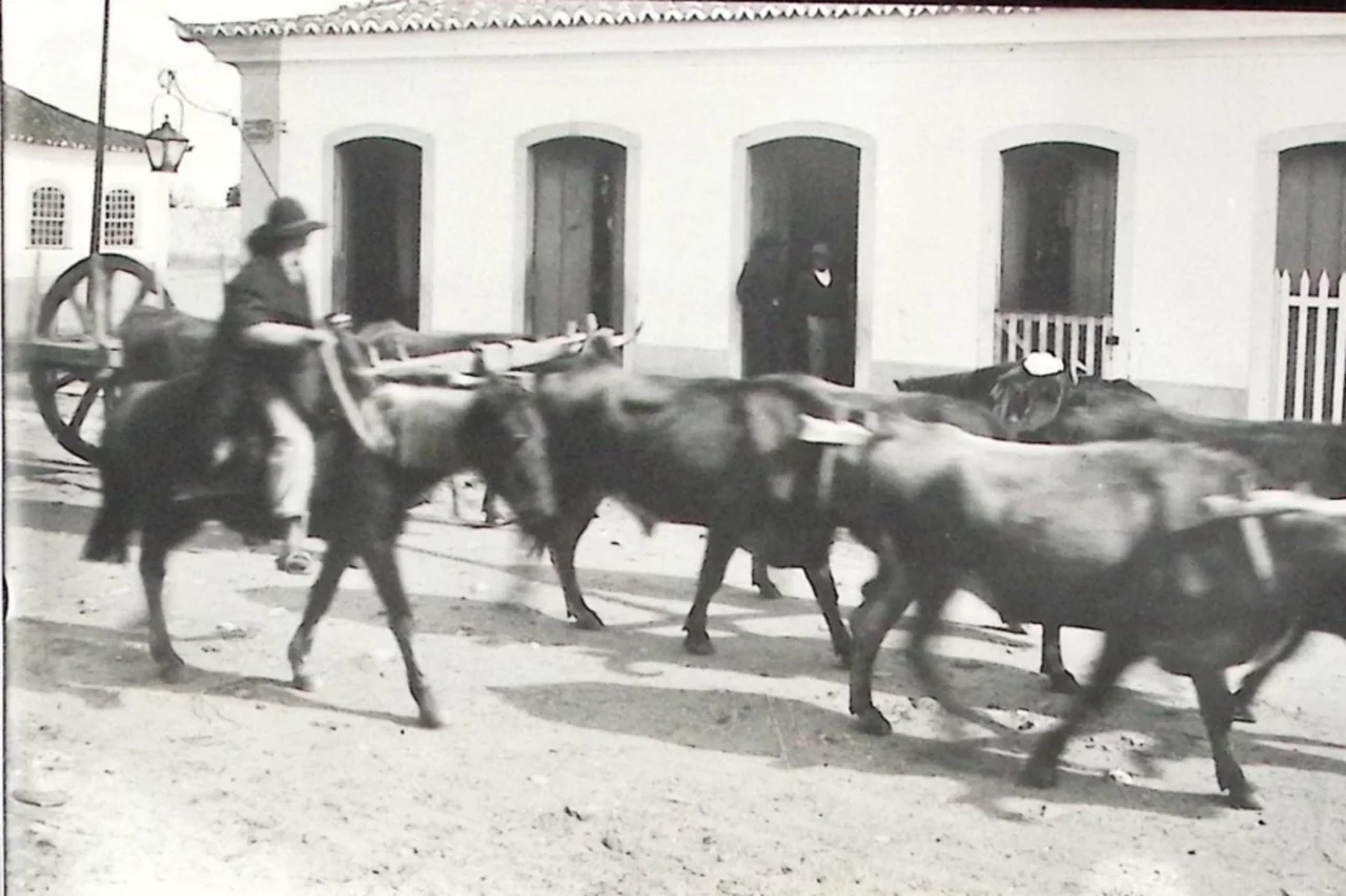 Arquivo Histórico Municipal de Rio Pardo/Divulgação