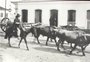 Com acervo de mais de 200 anos, Arquivo Histórico de Rio Pardo tem 60 mil documentos digitalizados