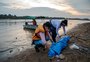 Morte de mais de 150 botos do lago Tefé, no Amazonas, ocorreu em função do calor