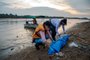 Em meio à seca na Amazônia, 110 botos são achados mortos no Lago Tefé, aponta instituto<!-- NICAID(15555845) -->