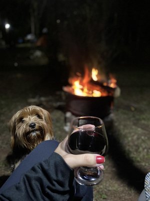 Acervo pessoal / Divulgação