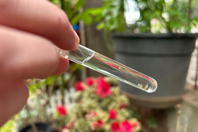 Carazinho intensifica ações contra Chikungunya após primeira morte confirmada na história do RS<!-- NICAID(16011648) -->