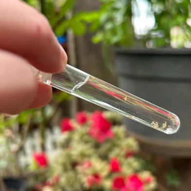 Carazinho intensifica ações contra Chikungunya após primeira morte confirmada na história do RS<!-- NICAID(16011648) -->