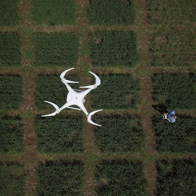 Local: Estação Experimental Agronômica da UFRGS Rodovia BR 290 - km 146, Eldorado do Sul. Uso de drones na agricultura, tanto para mapeamento de imagens quanto para pulverização de agroquímicos. Na foto: Christian Bredemeier<!-- NICAID(14295609) -->