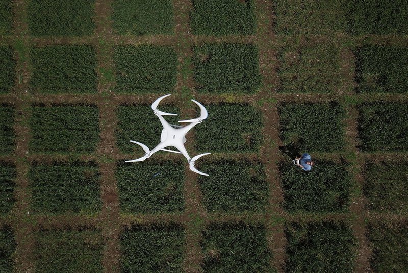 Local: Estação Experimental Agronômica da UFRGS Rodovia BR 290 - km 146, Eldorado do Sul. Uso de drones na agricultura, tanto para mapeamento de imagens quanto para pulverização de agroquímicos. Na foto: Christian Bredemeier<!-- NICAID(14295609) -->
