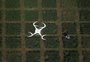 Projeto pode proibir pulverização por aeronaves no Rio Grande do Sul