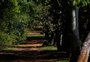 Governo do RS prevê lançar novo edital para concessão do Jardim Botânico à iniciativa privada