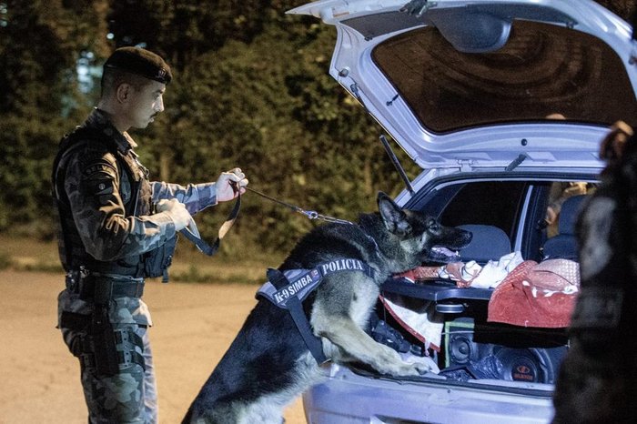 Os cães são muito importantes em operações de combate ao tráfico de drogas e apreensão de armas
