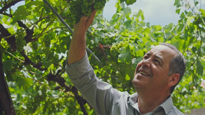 Press em Campo / Divulgação