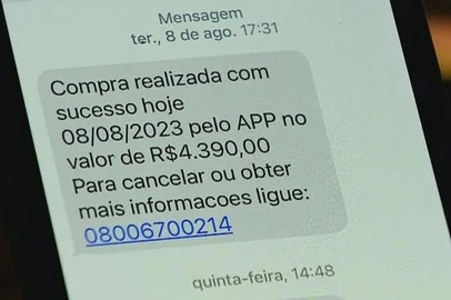 Moradora de Alvorada perde R$ 90 mil em golpe que usa mensagem falsa sobre compra indevida no cartão de crédito - Foto: RBS TV/Reprodução<!-- NICAID(15513248) -->