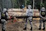 Sob o governo Bolsonaro, número de multas pagas por crimes ambientais na Amazônia cai 93%
