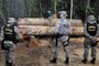 Governo autoriza Forças Armadas a combater desmatamento em Mato Grosso<!-- NICAID(14829719) -->