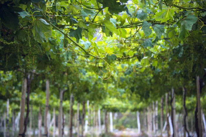 Kseniya Ragozina / stock.adobe.com