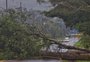Tempestade derruba árvores, deixa sinaleiras fora de operação e causa danos na Capital