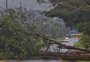 Tempestade derruba árvores, deixa sinaleiras fora de operação e causa transtornos em Porto Alegre