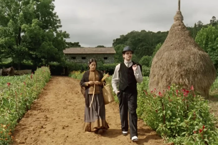 Divulgação / Divulgação