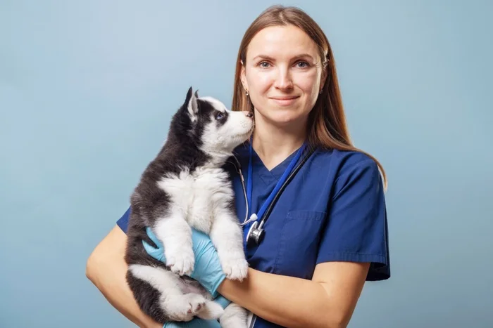 Andrii Spy_k / Shutterstock | Portal EdiCase