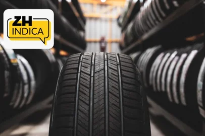 pneus, zh indica, pneu<!-- NICAID(16138466) -->