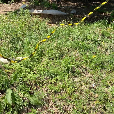 Assessor parlamentar da Câmara de Uruguaiana foi morto com golpes de garrafa e martelo na madrugada desta quarta-feira (2), na cidade da Fronteira Oeste. A vítima foi identificada como Fernando Coutinho Pereira, de 60 anos. O caso ocorreu no bairro Cidade Nova.<!-- NICAID(15880949) -->