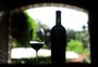 Escolha da rainha da Festa da Uva terá vinhos de três vinícolas de Caxias do Sul
