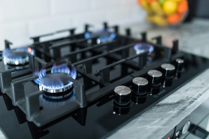 Reprodução / adobe.stock.com