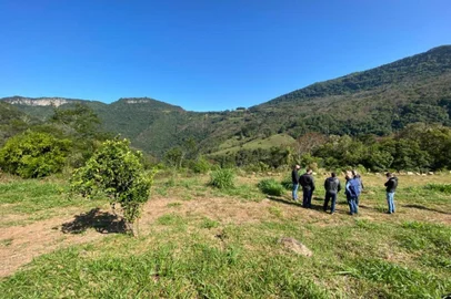 O avanço burocrático para a construção do Aeroporto Regional da Serra Gaúcha, no distrito caxiense de Vila Oliva, reflete em iniciativas para contemplar as necessidades que o novo empreendimento irá demandar da região. Uma estrada que una Caxias a Gramado é uma delas. Nesta semana, técnicos das prefeituras dos dois municípios estiveram em Vila Oliva para avaliar as possibilidades. Uma ideia até então cogitada, de uma via por Tunas Altas foi descartada. Agora, as avaliações apontam para a localidade de Bem-Te-Vi, mas sem seguir a Tunas e sim pelo acesso à Ponte do Raposo. A nova estrada, no entanto, não leva a esta ponte mas segue em curva até o Rio Caí, onde seria construída uma ponte para unir a localidade de Pedra Branca, de Gramado. <!-- NICAID(14759524) -->