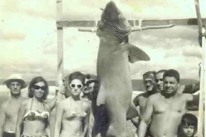 #PÁGINA:46Dinarte Santos que aparece de chapéu de palha (E), com pescadores e curiosos em torno do cação, 40 anos atrás na praia de Arroio Teixeira, no Litoral Norte do Rio Grande do Sul. Foto do Acervo de  José Carlos S. da Fonseca. Fonte: Acervo José C S da Fonseca Fotógrafo: Acervo José C S da Fonseca<!-- NICAID(347714) -->