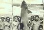 Um veraneio e um cação em 1968