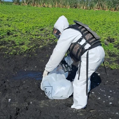 Estação ecológica do Taim<!-- NICAID(16237429) -->