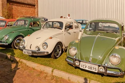 Exposição “Volks & Vintage” reunirá fuscas de colecionadores em Passo Fundo<!-- NICAID(15963126) -->