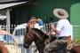 SAPUCAIA DO SUL.10,12,2022.Cavalgada do bem, para recolher alimentos para serem doados, participante do CGT Herança Farroupilha.(RONALDO BERNARDI/AGENCIA RBS).<!-- NICAID(15291955) -->