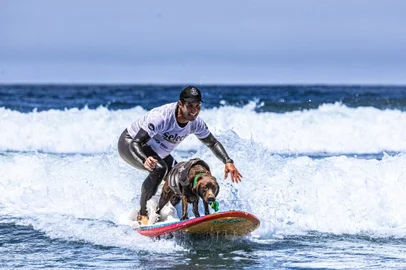 Cacau, surfdog