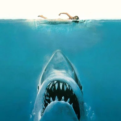 Tubarão (1975), de Steven Spielberg<!-- NICAID(16029981) -->