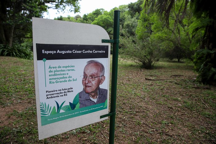 Duda Fortes / Agencia RBS Duda Fortes / Agencia RBS