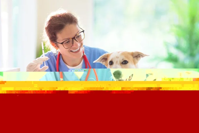 FamVeld / Shutterstock | Portal EdiCase FamVeld / Shutterstock | Portal EdiCase