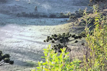 A Serra Catarinense amanheceu sob um cenário atípico nesta quinta-feira, 27 de dezembro, com os campos cobertos por uma fina camada de gelo, em pleno verão. Enquanto o Brasil enfrenta as altas temperaturas características da estação, o clima frio persiste e surpreende na região serrana de Santa Catarina.<!-- NICAID(15943174) -->