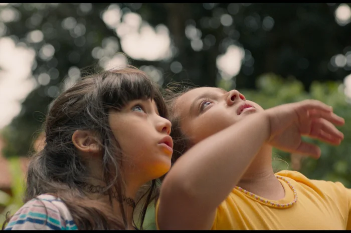 Vitrine Filmes / Divulgação Vitrine Filmes / Divulgação