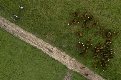 São Gabriel, RS, BRASIL - Pecuária Sustentável. Nas imagens a propriedade Estância Cêrro do Ouro.<!-- NICAID(15157339) -->