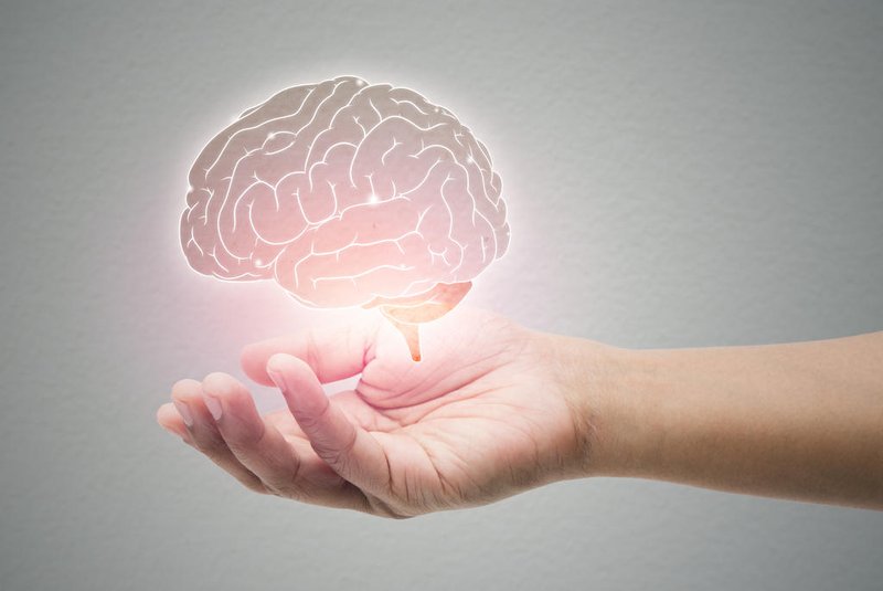 Man holding brain illustration against gray wall background. Concept with mental health protection and care.Fonte: 321477841<!-- NICAID(15655034) -->
