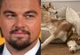 Leonardo DiCaprio pulou em lago congelado para salvar seus cachorros nas filmagens de "Não Olhe para Cima"