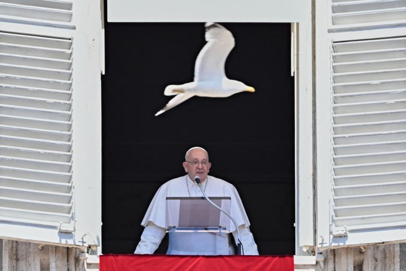 Pope Francis addresses the crowd from the window of the apostolic palace overlooking Saint Peter's Square as a gull flies past him during his Regina Coeli prayer, on Orthodox Easter, at the Vatican, on May 5, 2024. (Photo by Andreas SOLARO / AFP)Editoria: RELLocal: Vatican CityIndexador: ANDREAS SOLAROSecao: easterFonte: AFPFotógrafo: STF<!-- NICAID(15754779) -->
