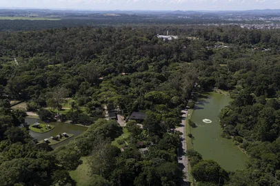 Sapucaia do Sul, RS, Brasil, 03-01-2025: Zoológico de Sapucaia do Sul. Instituição promoverá leilão de 179 animais para evitar superpopulação de algumas espécies como cisnes-negros, pavões, jegues e poneis. Foto: Mateus Bruxel / Agência RBSLocal: Sapucaia do Sul<!-- NICAID(15948091) -->