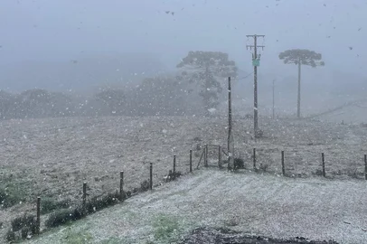 Neve em São José dos Ausentes no dia 9 de agosto de 2024.<!-- NICAID(16098113) -->