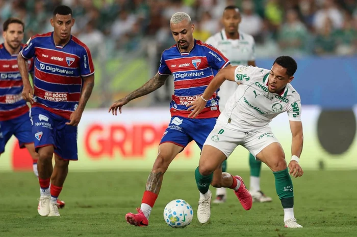 Cesar Greco / Palmeiras