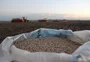 O que deixa o RS mais próximo de voltar a ter mais de 1 milhão de hectares para o trigo