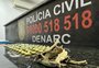 Pela primeira vez, Polícia Civil do RS apreende planta mexicana com efeito alucinógeno