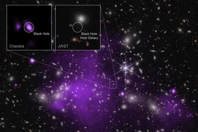 NASA Telescopes Discover Record-Breaking Black HoleThis image contains the most distant black hole ever detected in X-rays, a result that may explain how some of the first supermassive black holes in the universe formed. As we report in our press release, this discovery was made using X-rays from NASA’s Chandra X-ray Observatory (purple) and infrared data from NASA’s James Webb Space Telescope (red, green, blue). The extremely distant black hole is located in the galaxy UHZ1 in the direction of the galaxy cluster Abell 2744. The galaxy cluster is about 3.5 billion light-years from Earth. Webb data, however, reveal that UHZ1 is much farther away than Abell 2744. At some 13.2 billion light-years away, UHZ1 is seen when the universe was only 3% of its current age. By using over two weeks of observations from Chandra, researchers were able to detect X-ray emission from UHZ1 — a telltale signature of a growing supermassive black hole in the center of the galaxy. The X-ray signal is extremely faint and Chandra was only able to detect it — even with this long observation — because of the phenomenon known as gravitational lensing that enhanced the signal by a factor of four. The purple parts of the image show X-rays from large amounts of hot gas in Abell 2744. Indexador: Space Telescope Science InstitutFonte: STScI<!-- NICAID(15589386) -->