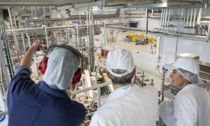 Nestlé Purina / Divulgação