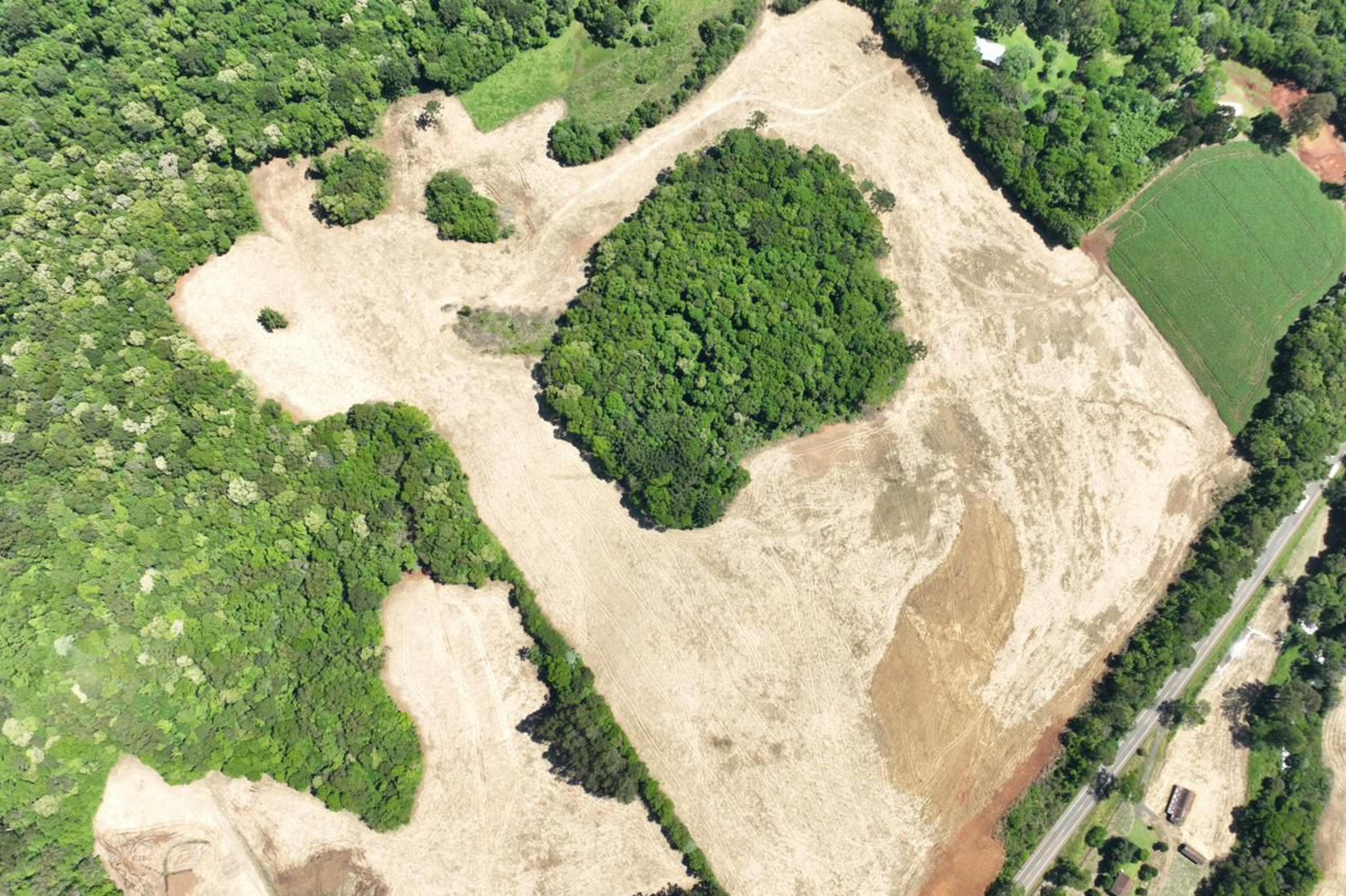 Desmatamento atingiu 3,9 milh&otilde;es de metros quadrados de Mata Atl&acirc;ntica no norte do RS