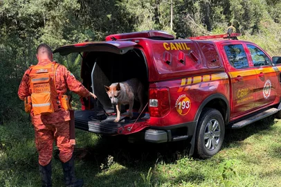 O Corpo de Bombeiros Militar em Vacaria segue com a operação de busca por um homem de 37 anos que está desaparecido, na localidade do Barreiro, região de Boca da Serra, no interior do município de Bom Jesus.As equipes do Pelotão de Bombeiros Militar de Vacaria com apoio do SCAB de Bom Jesus e alguns familiares, seguem atuando na área, realizando varreduras em campos, trilhas e áreas de mata onde há possibilidade de deslocamento da vítima.Durante as buscas, foram localizados vestígios que indicam possível presença recente de pessoa em uma estrutura utilizada anteriormente pela vítima na região, o que permitiu reduzir a área prioritária de buscas e concentrar os esforços das equipes no perímetro identificado.A operação conta também com apoio da equipe cinotécnica do Canil do Batalhão de Busca e Salvamento (BBS), que emprega cão especializado para auxiliar na identificação de possíveis trajetos e pontos de interesse na mata.Os trabalhos seguem com equipes em progressão terrestre e análise de vestígios, com objetivo de localizar a vítima o mais breve possível.O Corpo de Bombeiros Militar segue mobilizado na operação e novas informações poderão ser divulgadas conforme o andamento das buscas.<!-- NICAID(16265179) -->